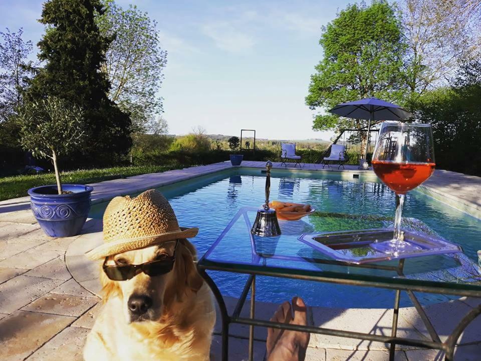 Domaine Du Merlot Sainte-Sabine-Born Esterno foto