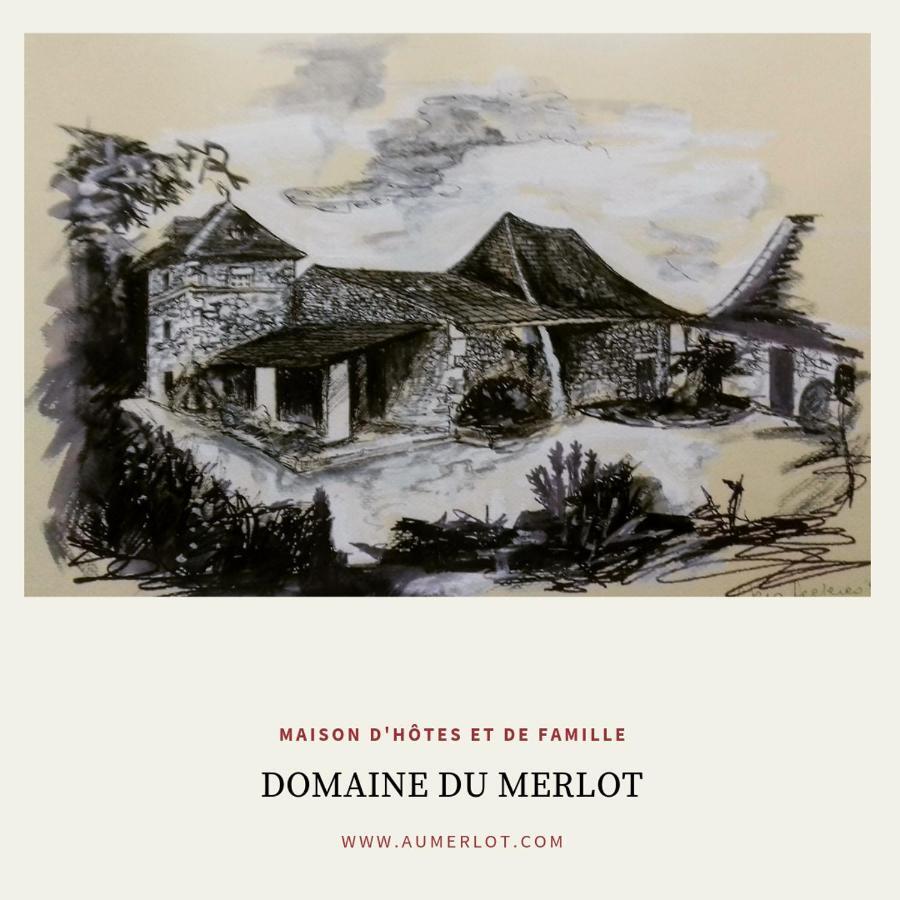 Domaine Du Merlot Sainte-Sabine-Born Esterno foto